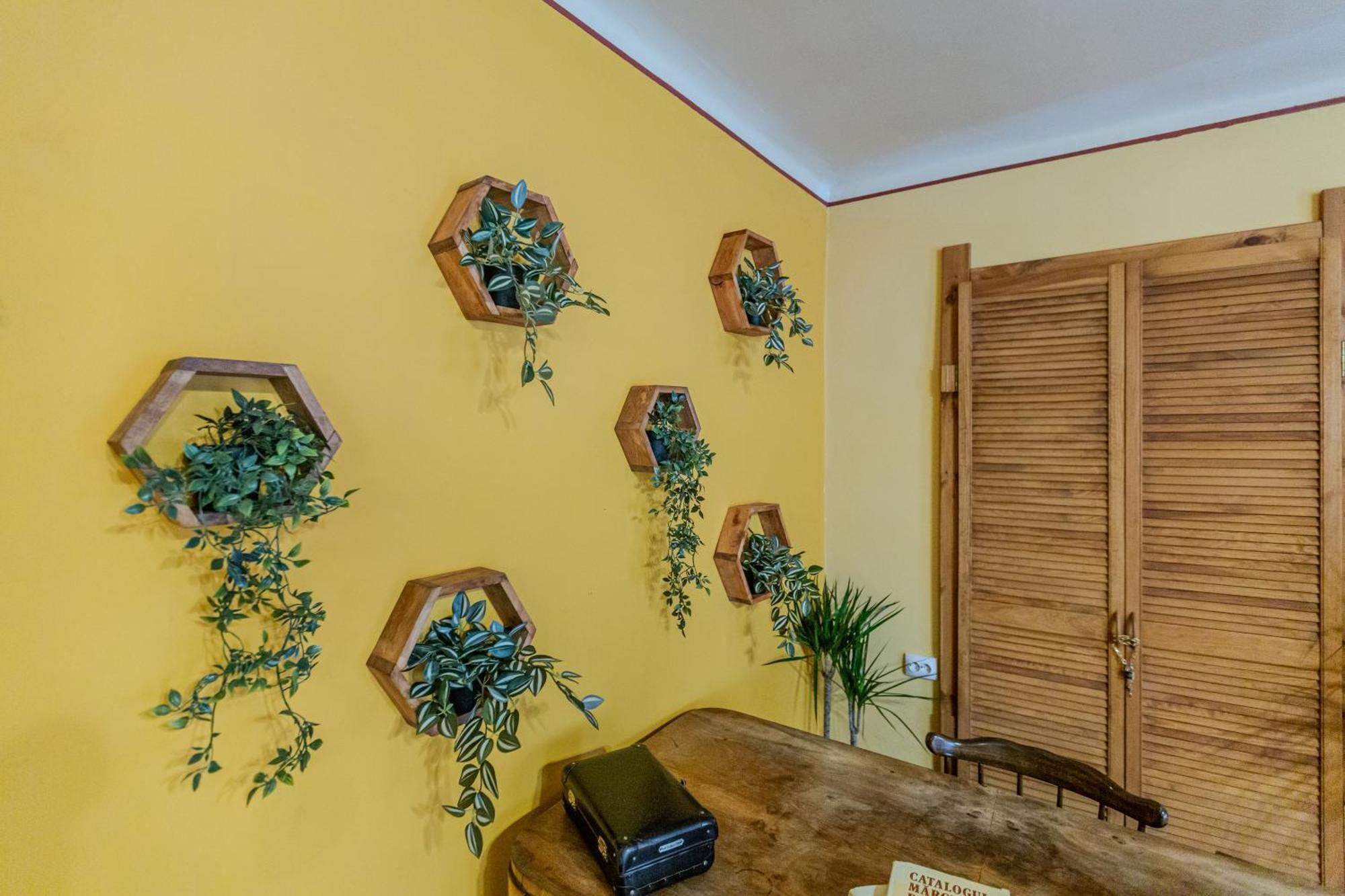 Tree House-old Town Apartamento Braşov